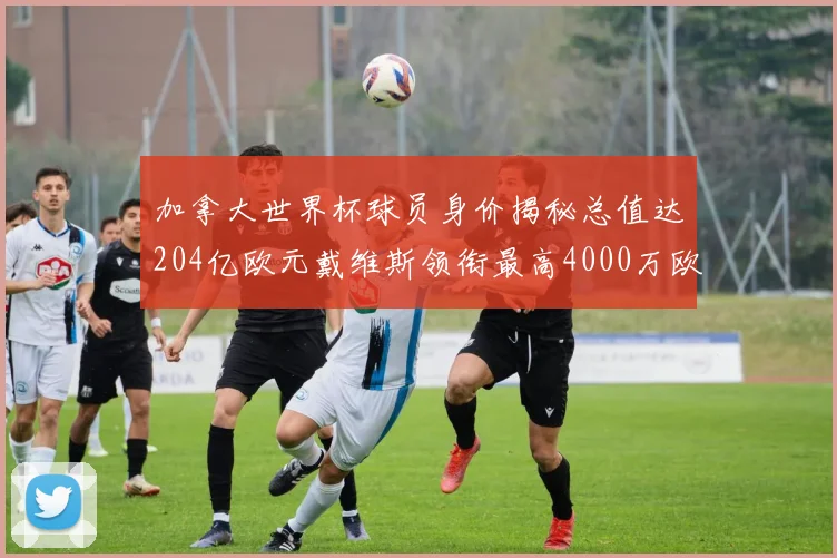 加拿大世界杯球员身价揭秘总值达204亿欧元戴维斯领衔最高4000万欧